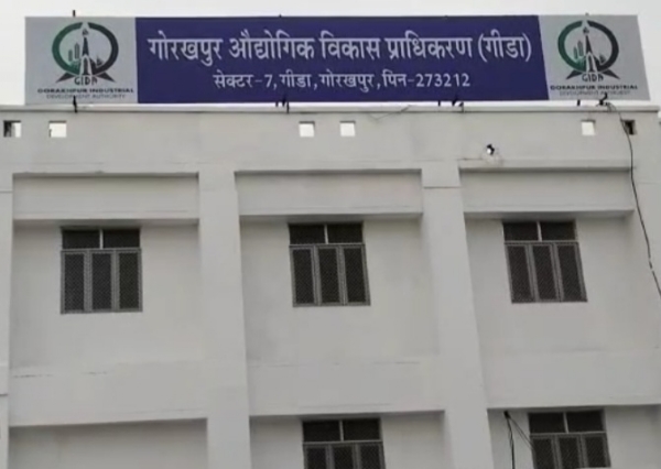 फाइल फोटो : गीडा