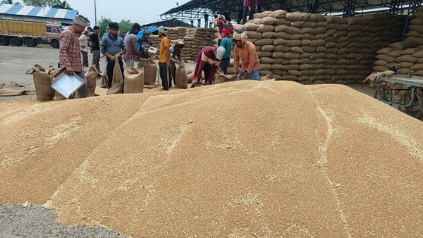 मध्य प्रदेश की मंडियों में गेहूं उपार्जन की तस्वीर