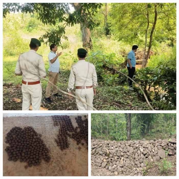 बस्तर में मानसून से पहले सीड बॉल तकनीक व जल संरक्षण संरचनाएं संजीवनी साबित होंगी