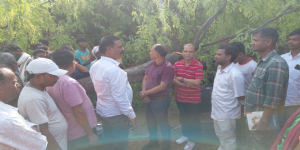 घर पर गिरा पेड़, महिला की मौत