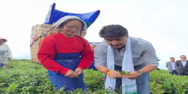 केंद्रीय मंत्री ज्योतिरादित्या सिंधिया तिमी चिया बागान में श्रमिकों के साथ