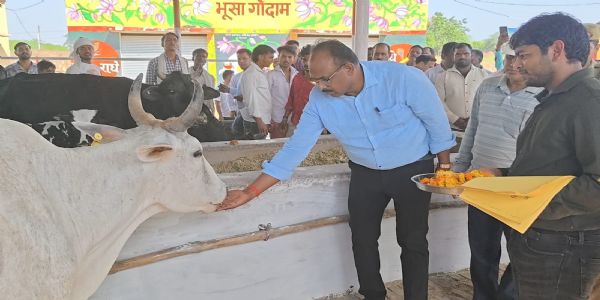 जिलाधिकारी ने किया वृहद गौशाला का निरीक्षण