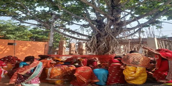 वट सावित्री व्रत पर सुहागिन महिलाओं ने की पूजा