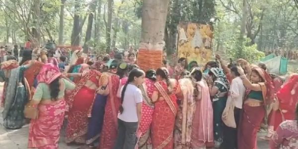 बट सावित्री व्रत पर भक्ति में डूबा जमशेदपुर, सुहागिन महिलाओं ने वट वृक्ष की पूजा कर मांगा अखंड सौभाग्य