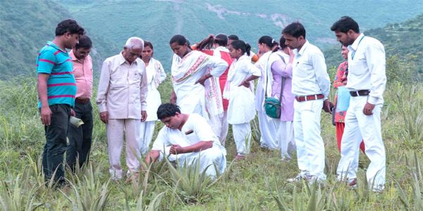 जनजातीय क्षेत्रों में पतंजलि ने 1011 वनस्पतियों की पहचान कर बनाया इतिहास