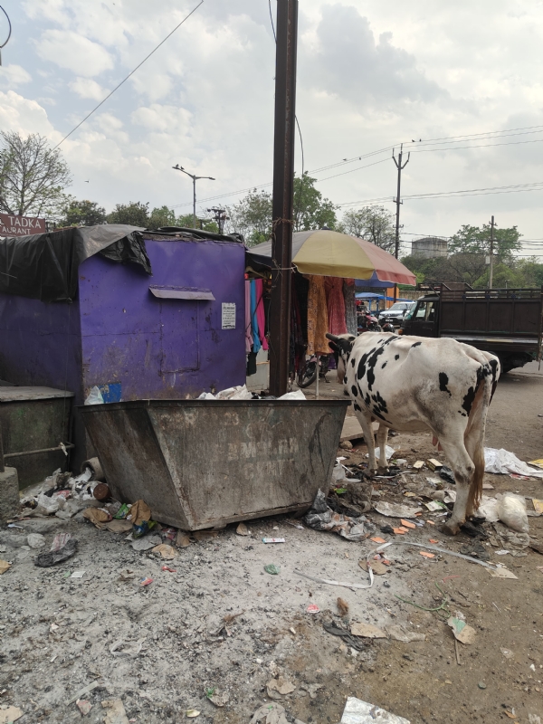 सफाई अभियान चलाते लोग