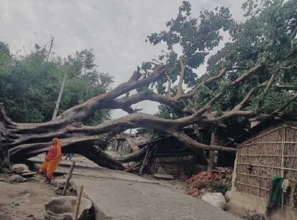 भीषण क्षति