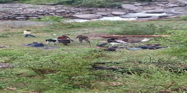 चलती बोलेरो पर गिरा पेड़, खाई में गिरने से चार अध्यापिकाओं की मौत, मुख्यमंत्री ने जताया शोक