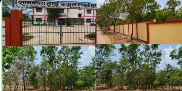 कोरबा : एक तरफ पर्यावरण का संरक्षण तो दूसरी ओर अतिक्रमण से संरक्षित हुई शासकीय भूमि