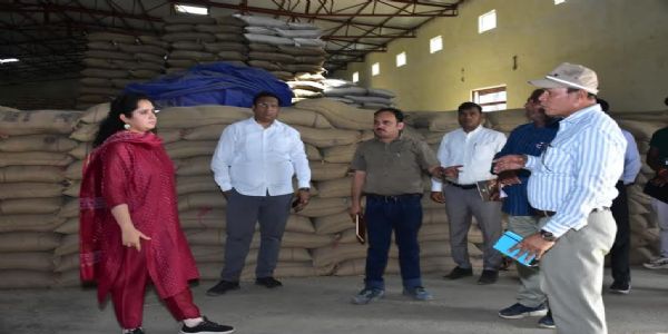 मंदसौर जिले में अब तक 82196.95 मैट्रिक टन गेहूं की खरीदी हुई