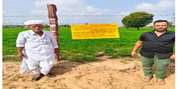 तारबंदी योजना से सुरक्षित हुई फसल