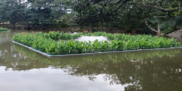 मासूंदा झील की सफाई हेतू टीएमसी के तैरते पौधों के आइलैंड