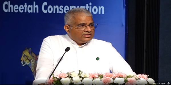 केंद्रीय मंत्री भूपेंद्र यादव ने भोपाल में इंटरनेशनल बिग कैट एलायंस प्री-समिट को किया संबोधित केंद्रीय मंत्री भूपेंद्र यादव ने भोपाल में इंटरनेशनल बिग कैट एलायंस प्री-समिट को किया संबोधित