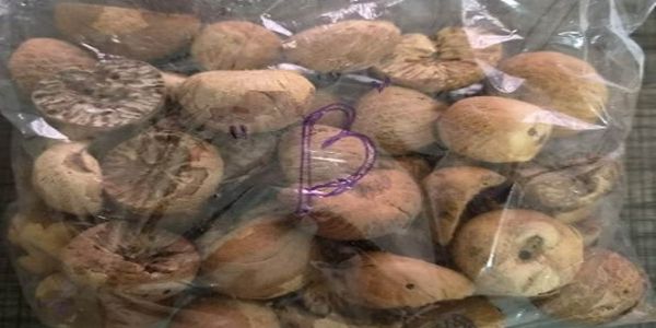 विदेशी सुपारी की जब्त खेप का जारी फोटो का प्रतीकात्मक चित्र