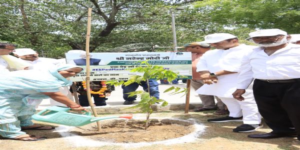 नई दिल्ली में ‘एक पेड़ मां के नाम’ अभियान के तहत पौधारोपण करते एनडीएमसी के उपाध्यक्ष कुलजीत सिंह चहल, स्थानीय निवासी और आरडब्ल्यूए सदस्य। नई दिल्ली में ‘एक पेड़ मां के नाम’ अभियान के तहत पौधारोपण करते एनडीएमसी के उपाध्यक्ष कुलजीत सिंह चहल, स्थानीय निवासी और आरडब्ल्यूए सदस्य।