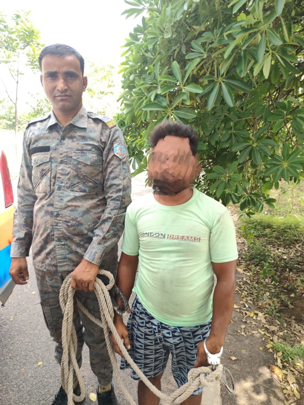 गिरफ्तार वारंटी गिरफ्तार वारंटी