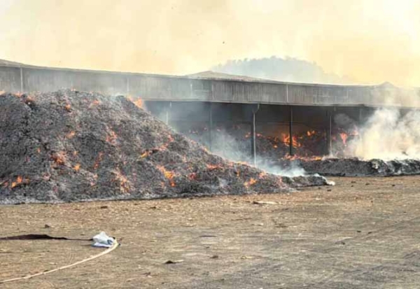 तेंदूपत्ता गोदाम में लगी आग, 10 करोड़  के 18 हजार बोरे तेंदूपत्ता जलकर खाक