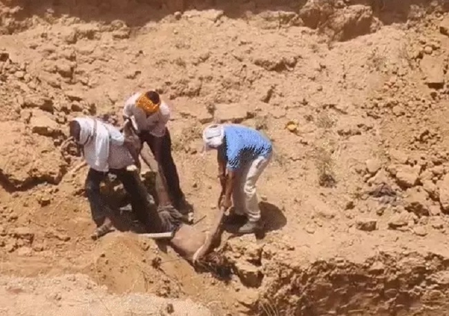 पन्ना में कुआं धंसने के बाद मलबे में दबे श्रमिकों को बचाने के लिए राहत एवं बचाव अभियान पन्ना में कुआं धंसने के बाद मलबे में दबे श्रमिकों को बचाने के लिए राहत एवं बचाव अभियान