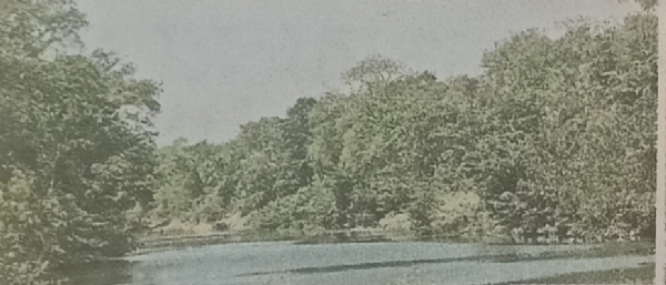 फोटो मंदाकिनी की फोटो मंदाकिनी की
