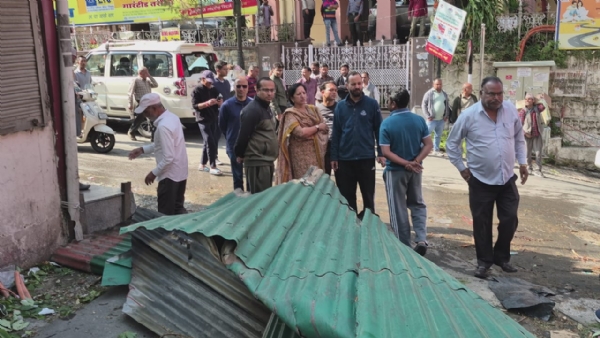 छत पर गिरा पेड़।