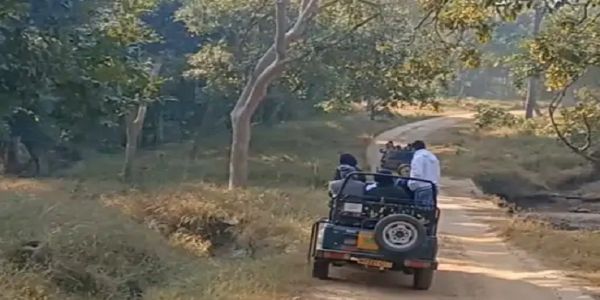 मप्र के पेंच को मिलेगा बायो स्फीयर रिजर्व का दर्जा, यूनेस्को को प्रस्ताव भेजेगी सरकार