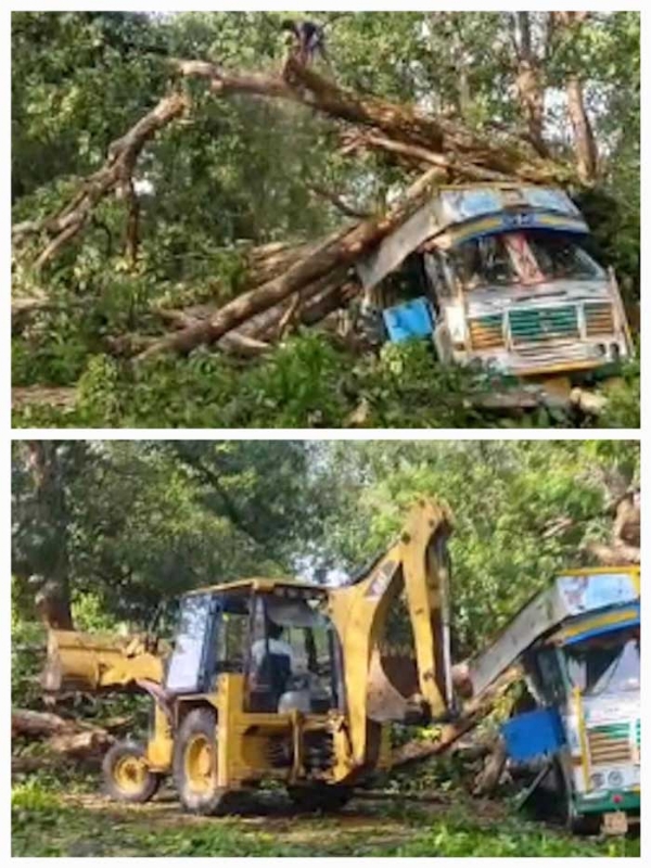 ट्रक पर पेड़ गिरने से जगदलपुर-सुकमा हाइवे पर यातायात हुआ बाधित