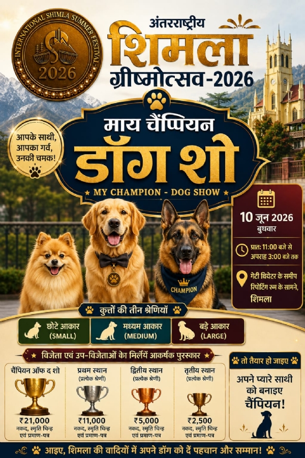 डॉग शो डॉग शो