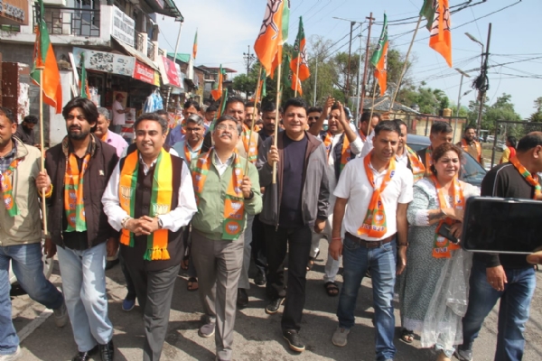 जीत का जश्न मनाते हुए भाजपा कार्यकर्ता।