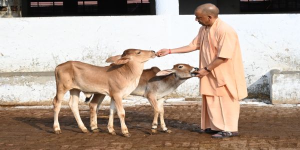 मत करें चिंता, हर समस्या का कराएंगे समाधान : योगी आदित्यनाथ