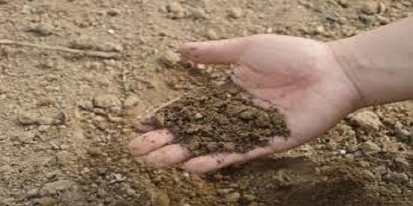 दतिया : 9 साल बाद भी शुरू नहीं हुआ मिट्टी परीक्षण केंद्र, भवन में पड़ने लगी दरारें