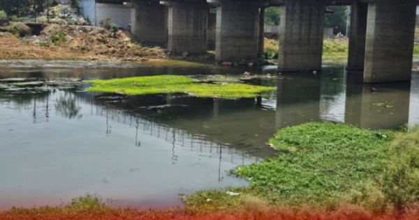 केलो नदी की दूर्दशा केलो नदी की दूर्दशा