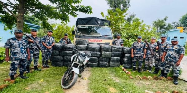 नेपाल के सीमावर्ती क्षेत्र से बरामद गांजा नेपाल के सीमावर्ती क्षेत्र से बरामद गांजा
