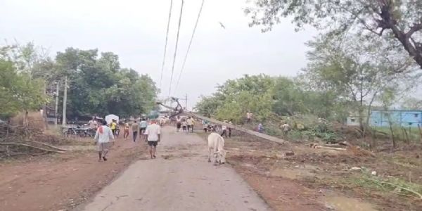 आंधी के कारण पेड़ व बिजली के खंभे उखड़ गए आंधी के कारण पेड़ व बिजली के खंभे उखड़ गए