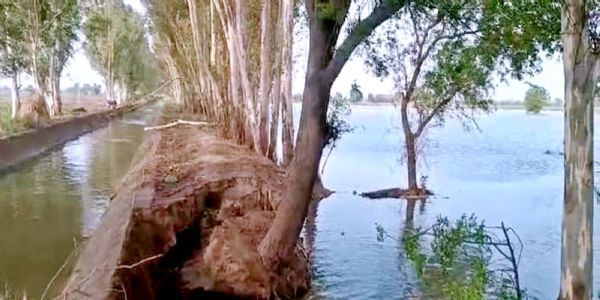 जींद : डाहौला के खेतों में टूटी माइनर, 80 एकड़ जमीन जलमग्र
