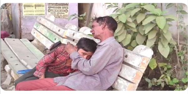 बड़वानीः आवारा कुत्तों ने लकड़ी बीनने गई महिला पर किया हमला, मौके पर मौत