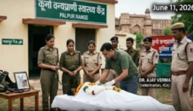 कूनो के जर्मन शेफर्ड को अंतिम विदाई देते हुए कूनो के जर्मन शेफर्ड को अंतिम विदाई देते हुए