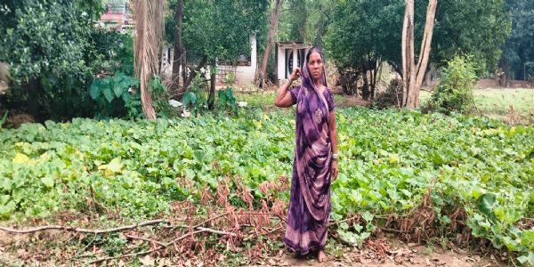 मनरेगा के डबरी से मिली आत्मनिर्भता की नई राह, सब्जी उत्पादन से बढ़ी आय