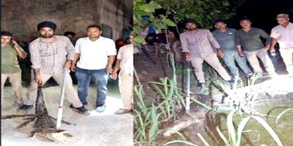 खेत से लेकर बाथरूम तक पहुंच गए मगरमच्छ