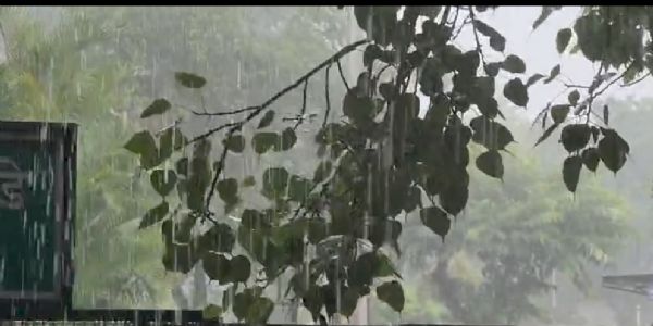 देहरादून में दोपहर बाद बदला मौसम का मिजाज, ओलावृष्टि और बारिश से मिली राहत