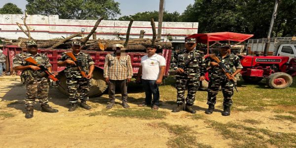 बलरामपुर में खैर की 33 बोटा लकड़ी समेत ट्रैक्टर जब्त, एक आरोपित गिरफ्तार