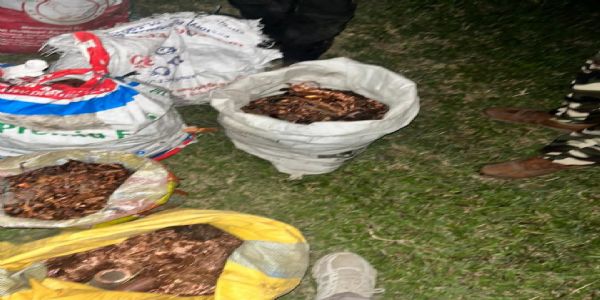 एसएसबी ने बॉर्डर के पास 180 किलो कॉपर वायर के साथ तीन को किया गिरफ्तार