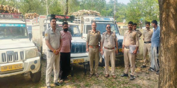 नूरपुर पुलिस ने अवैध लकड़ी ले जाते सात वाहन पकड़े, तीन मामले दर्ज