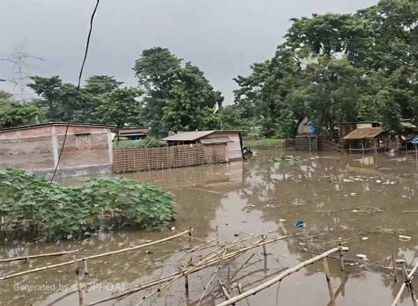नेपाल में भारी बारिश से उफनाई मेची नदी, सीमावर्ती गांवों पर मंडराया कटाव का खतरा नेपाल में भारी बारिश से उफनाई मेची नदी, सीमावर्ती गांवों पर मंडराया कटाव का खतरा