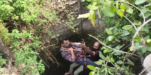 कुएं में गिरे किसान को निकालने उतरी टीम के तीन सांप देख कर उड़े होश, वन्य जीव प्रेमी की लेनी पड़ी मदद