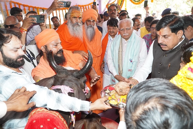 कपिला गौशाला में गाय का पूजन करते हुए मुख्यमंत्री और केन्द्रीय मंत्री कपिला गौशाला में गाय का पूजन करते हुए मुख्यमंत्री और केन्द्रीय मंत्री