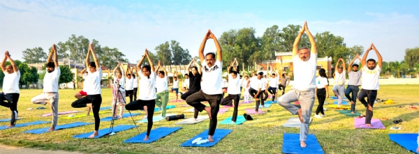 योगाभ्यास करते हुए योगाभ्यास करते हुए