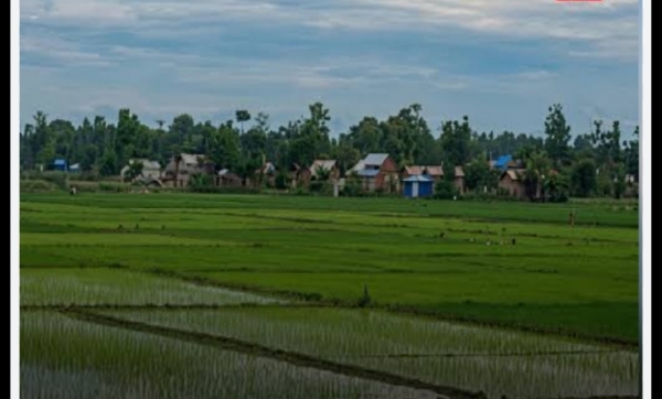 Nagaon Administration Released Image of the Encroached Govt Reserve Land.