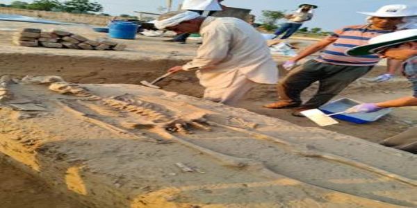 राखीगढ़ी के कंकाल (फाइल फोटो) राखीगढ़ी के कंकाल (फाइल फोटो)