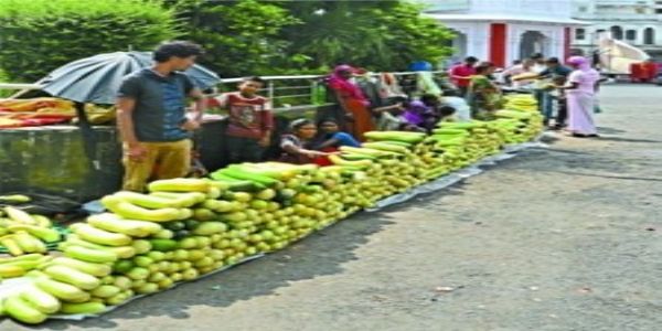 रतलाम: बालम ककड़ी और रतलामी गराडू को मालवी गराडू के नाम से मिला जी.आई. टैग