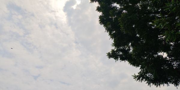 मैदानी इलाकों में गर्मी से राहत के आसार, अगले दो दिनों में गिरेगा तापमान
